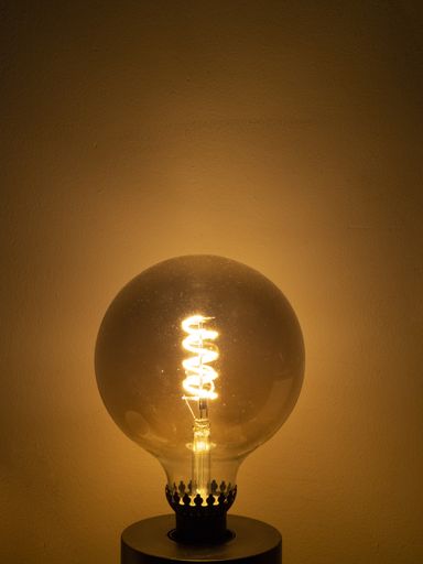 A vertical shot of a big round electric bulb