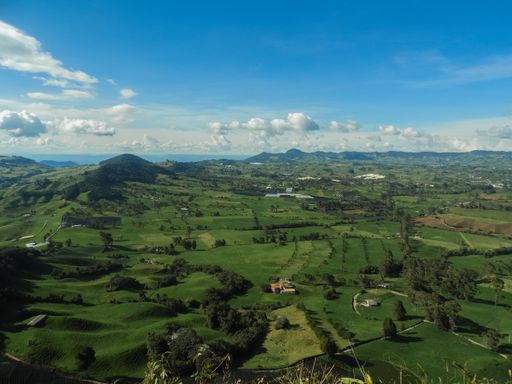 A landscape of a village covered in greenery under the sunlight and a blue sky in the countryside