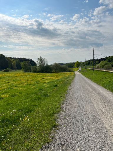 A vertical of a country road in a green field under a cloudy blue sky