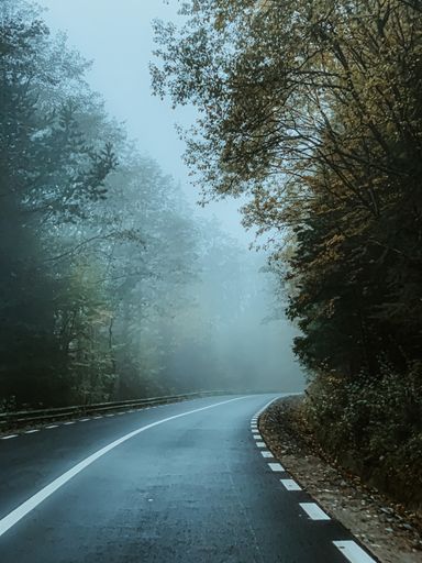 A vertical shot of a road leading through a misty forest