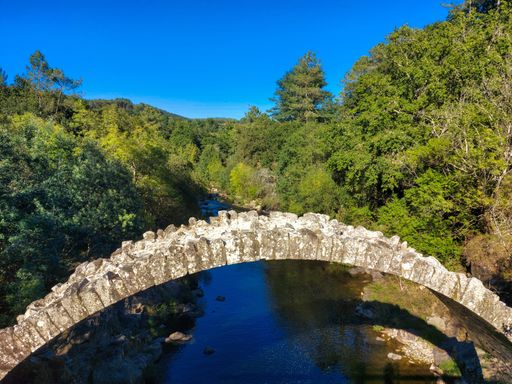a stone arch on a river surrounded by trees and greenery