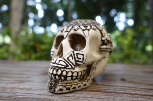 A closeup of a white decorated skull on a table in a garden with a blurry background