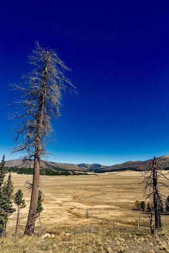 A Valles Caldera National Preserve near Los Alamos in New Mexico, USA