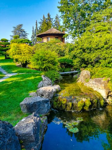 A vertical shot of a park with a small river on a sunny day