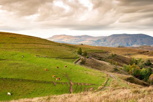 A scenic view of the Apuseni mountains under cloudy sky in Dumesti Romania