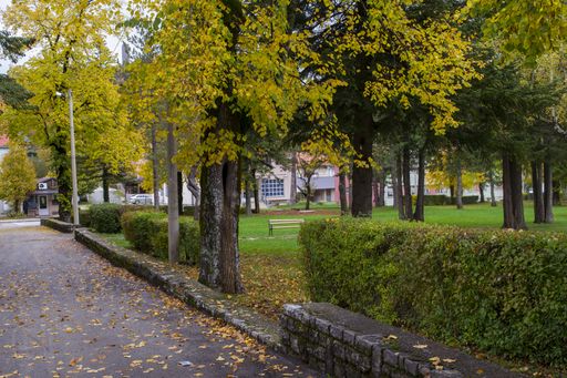 A beautiful autumn scene at a park with trees and bushes in the town of Gracac at Velebit, Croatia