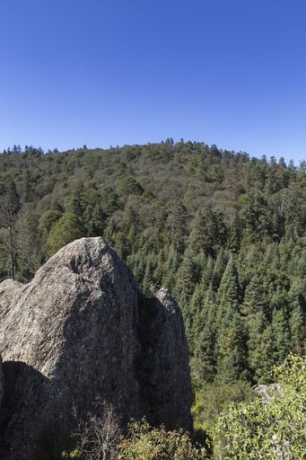 A beautiful view of Penas Cargadas Ecotourism Park - El Chico National Park Mexico