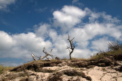 A low angle shot of a landscape and white clouds in the plain blue sky