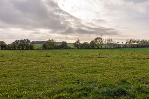 An idyllic rural landscape of a lush green field with trees and grass underneath a cloudy sky, creating an atmosphere of serenity