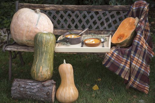 A bench in a garden decorated with pumpkins for Halloween with pumpkin soup on it