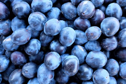 A high angle shot of a pile of delicious black grapes