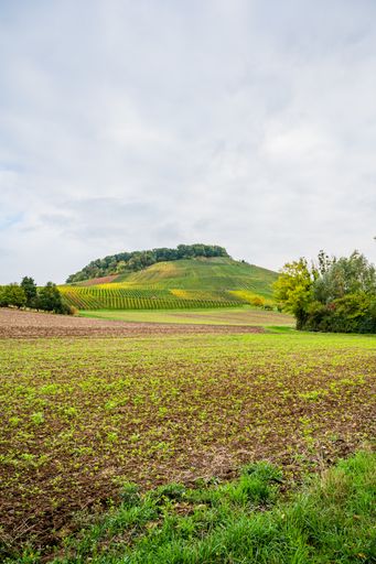 A vertical shot of the sown field and hills on a sunny day