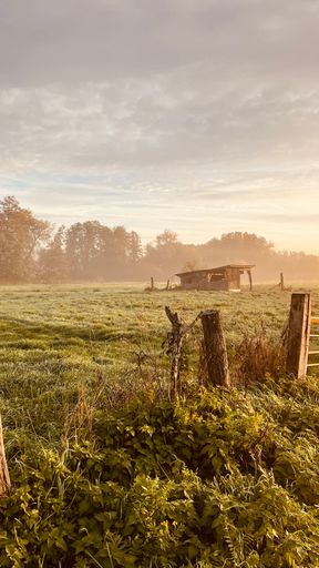 A vertical shot of a beautiful countryside with an old hut on a foggy day at sunrise