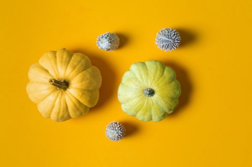 A top view of pumpkins on a yellow surface - concept: fall, autumn, harvest, Halloween