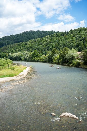A vertical shot of a river surrounded by high green mountains