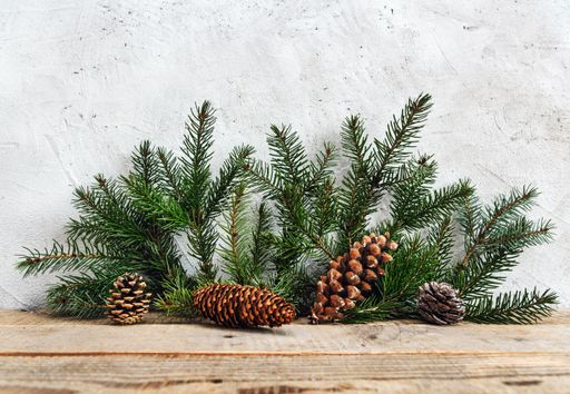 A closeup of pine leaves and cones on a wooden surface, against a white wall. Christmas background
