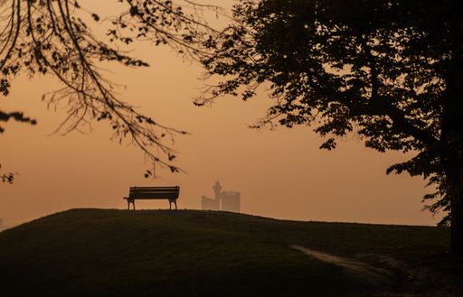 A single bench in the park  with the foreground of the tree