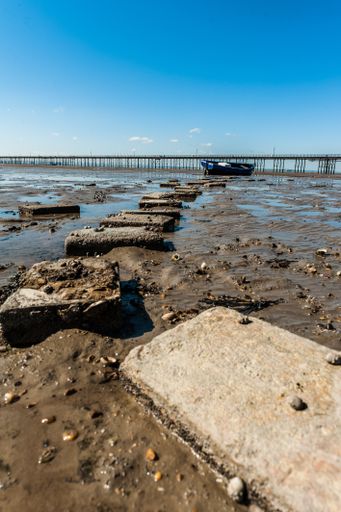 A vertical shot of a muddy and rocky shore with a bridge and a boat in distance on a sunny day