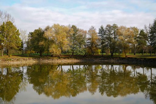 A beautiful view of a forest located on the bank of a small pond on a fall day