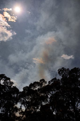 A vertical shot of a bushfire in Australia