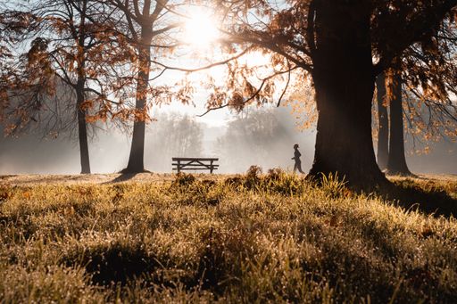A silhouette of a jogger running in the distance in a park on a misty sunny autumn morning