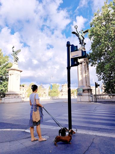 A vertical shot of a woman walking her dog in the street of Rome