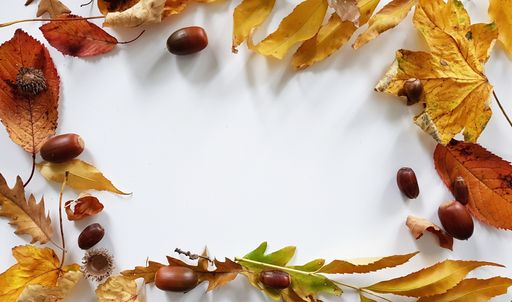 A top view of white copy space with autumn leaves and acorns