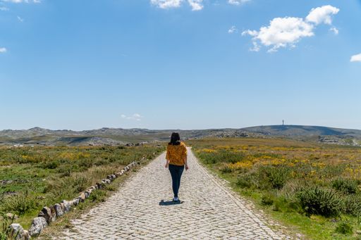 A lonely person walking along a road surrounded by green land and bushes