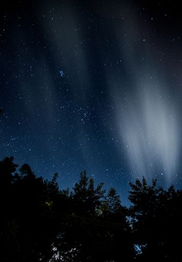 A vertical shot of the magical night sky full of shiny stars