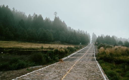 A scenic view of a winding gravel road surrounded by lush greenery under a misty sky