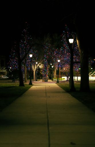 A vertical shot of a footpath passing through trees decorated with lights at night