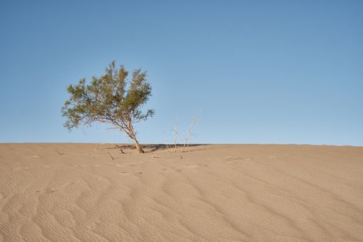 The sand dunes of the Death Valley (CA)