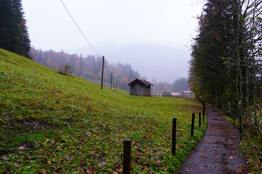 A shot of a misty autumn day in the Allgaeu alps