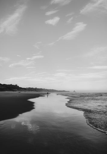 A vertical grayscale shot of a wave and the beach in Dunedin, New Zealand