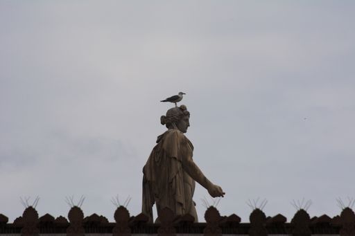 A low angle shot of a seagull perched on top of a statue