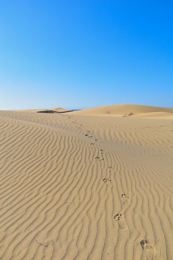 A vertical shot of the traces of man on the sand