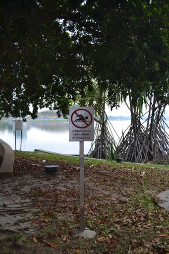 the signage strictly no swimming in the lake
