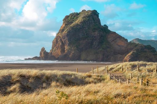 Aerial view of Lion Rock and Piha beach