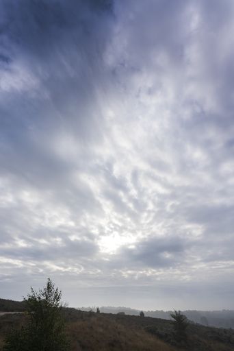 A vertical shot of dramatic sky over a field