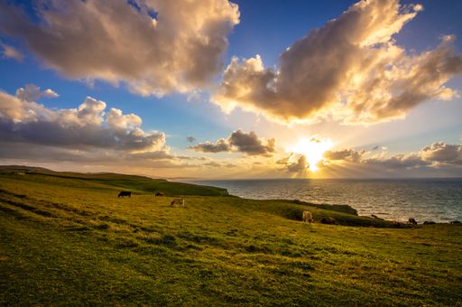 A beautiful shot of a coastal landscape at sunrise