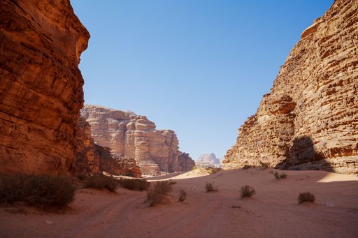 A beautiful view of the Wadi Rum desert with ancient sandstone mountains and shrubs on red sand