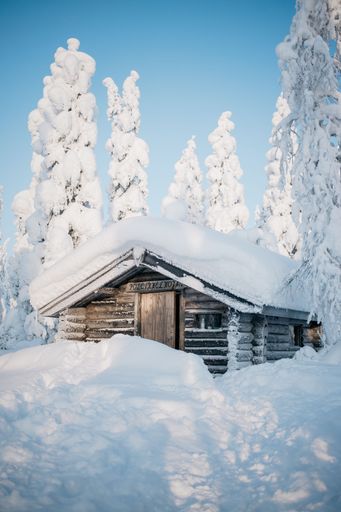 a vertical shot of a snow covered wooden cabin with snowy tall trees in the back and a clear blue sky