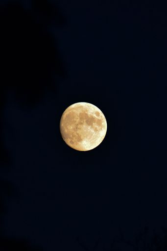 A vertical shot of a full moon at night