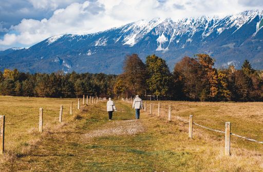 A beautiful view of an old couple walking in a pathway with a mountain background - grow old with you concept