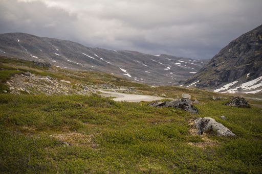 A green meadow with a country road against the background of hills and cloudy sky. Norway.