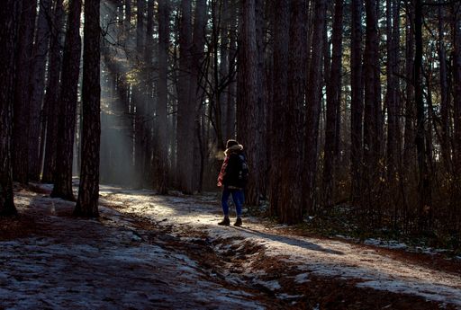 A landscape of a girl walking through the woods with sunrays
