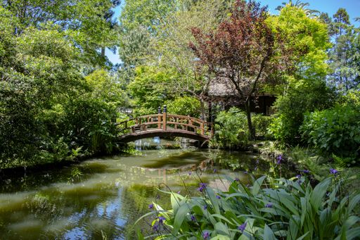 A beautiful shot of a bridge over a river in Jardin Japones garden located in Montevideo Uruguay
