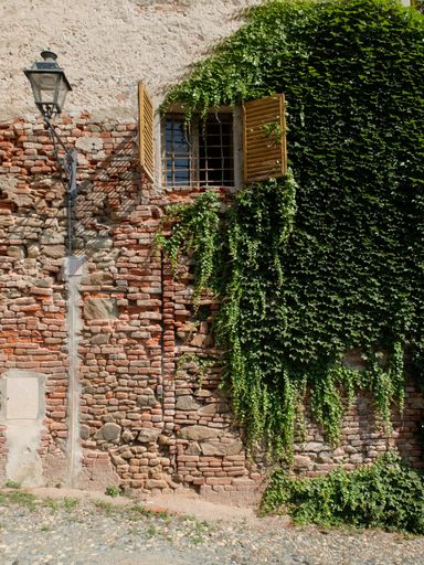 A vertical shot of a cobblestone wall of a building with a window with yellow blinds and plants growing on it