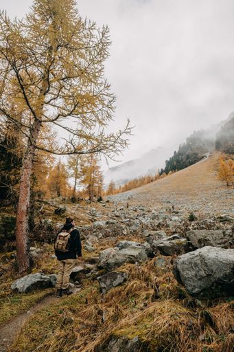 A back view of a male hiker with a backpack standing on a footpath surrounded by autumn nature scenes