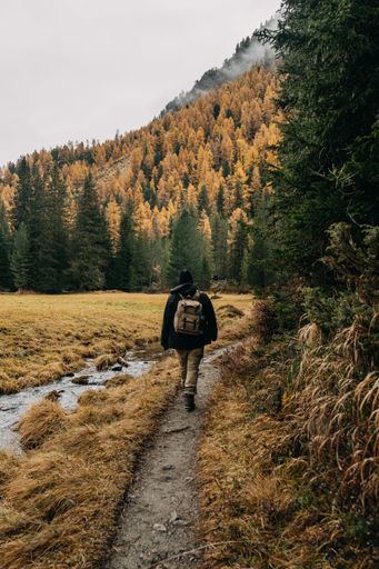 A back view of a male hiker with a backpack walking along a footpath surrounded by autumn nature scenes